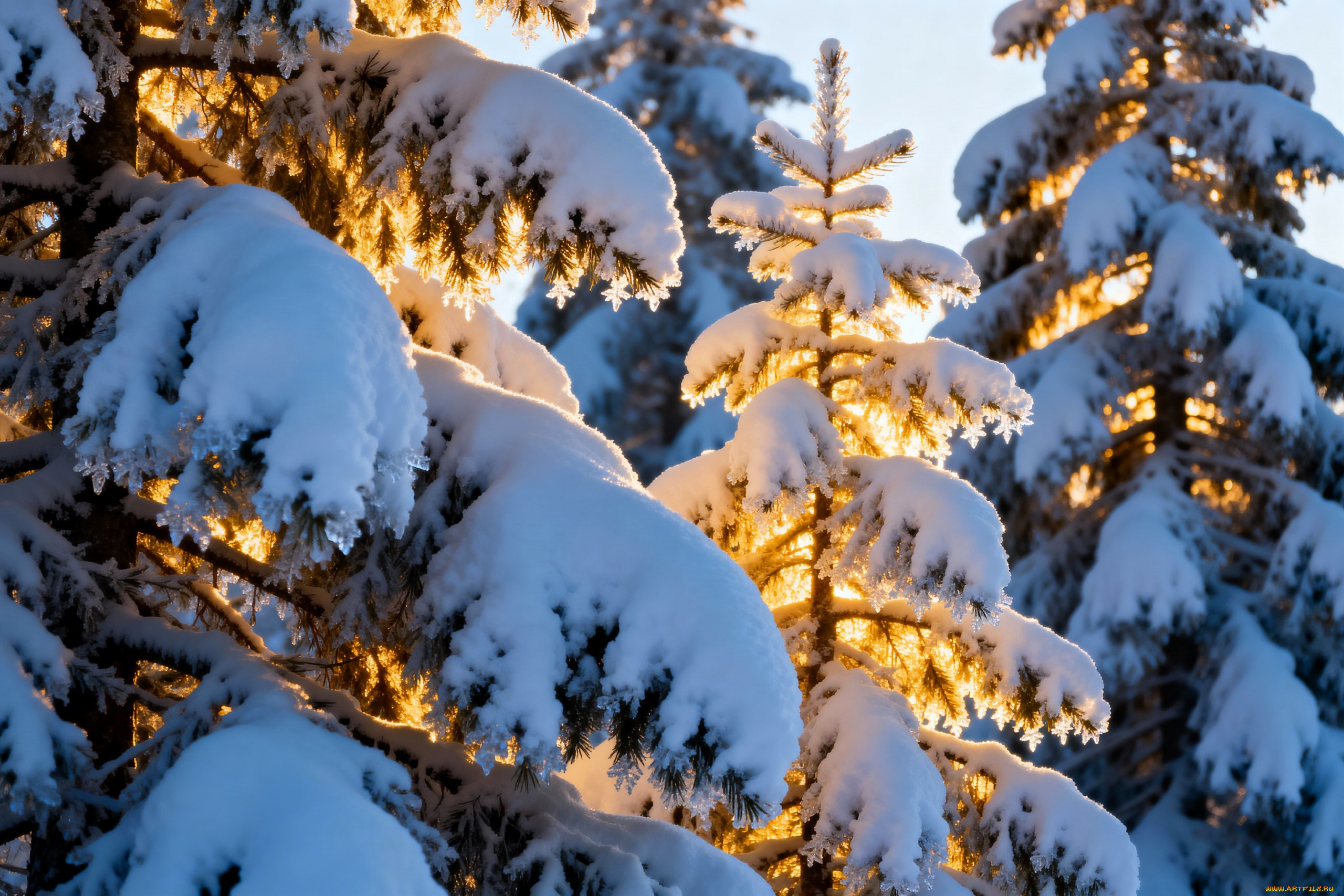 3� �������, ������� , nature, ����, ���, ����, ����, ����